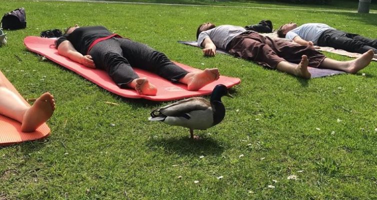 Yoga am Fasaneriesee mit Team Laurien & Alex